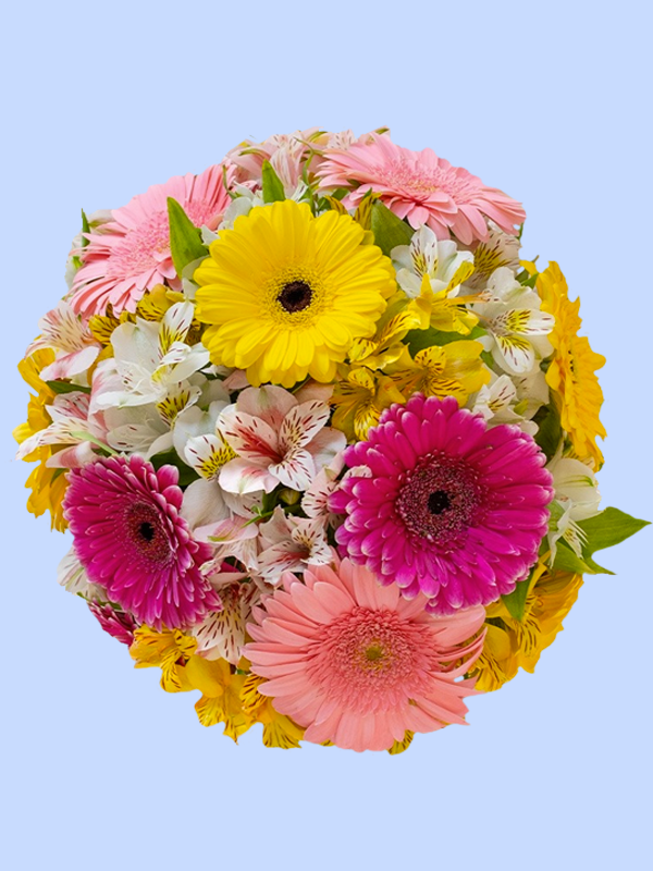 Ramo de Gerberas con astromelia