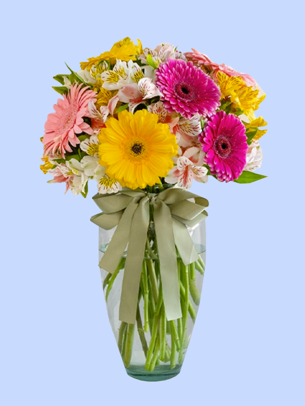Ramo de Gerberas con astromelia