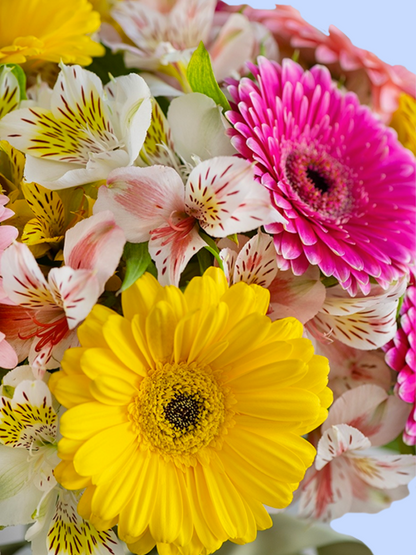 Ramo de Gerberas con astromelia