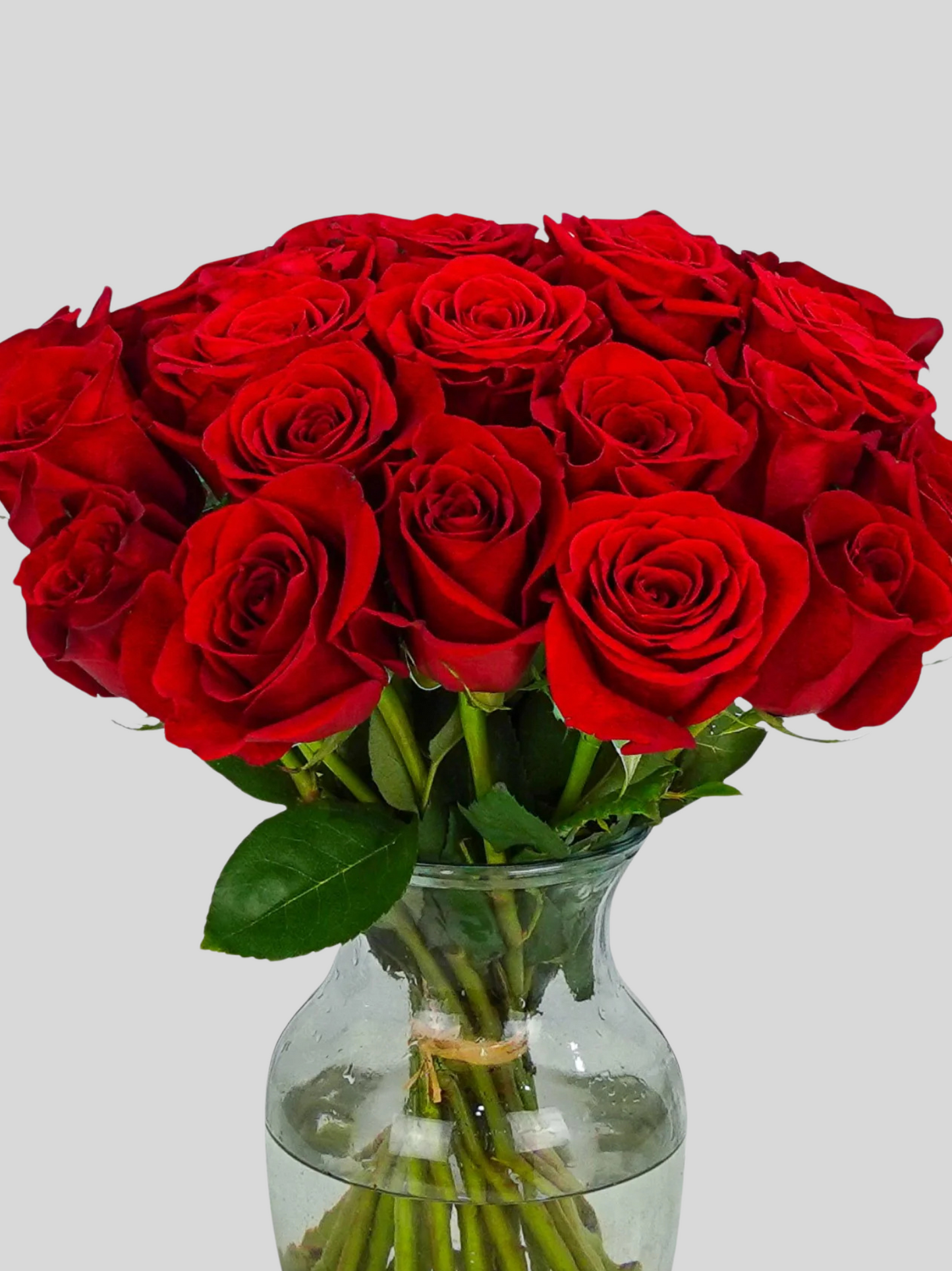 Arreglo de Rosas Rojas