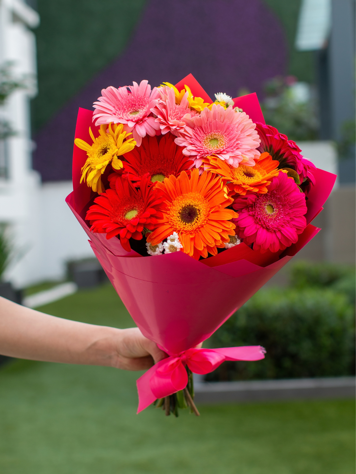 Ramo de Gerberas